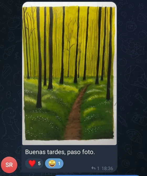 Captura del grupo: una estudiante comparte su paisaje de bosque